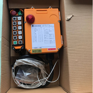 Điều khiển từ xa F24 - 12S Telecrane