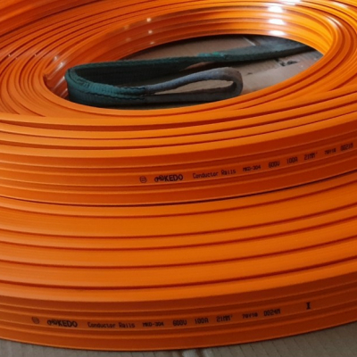 Ray điện an toàn 3p100a